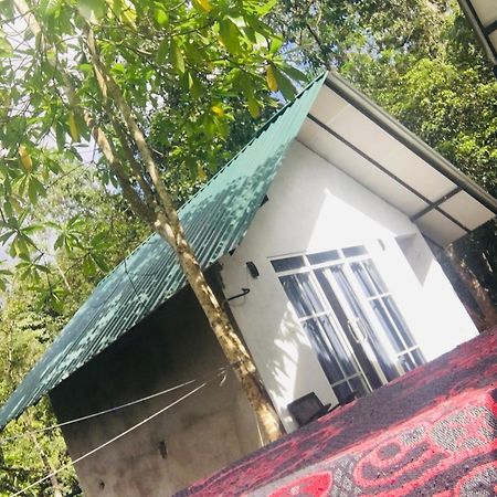 Little Wood Villa And Retreats Doluwa Канді Екстер'єр фото